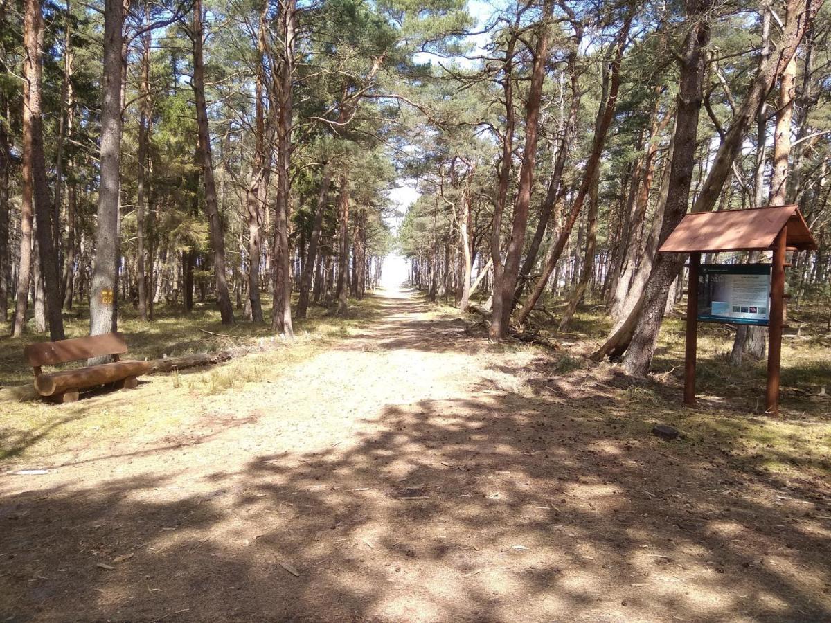 Agroturystyka Gawrys Pokoje Sasino Luaran gambar
